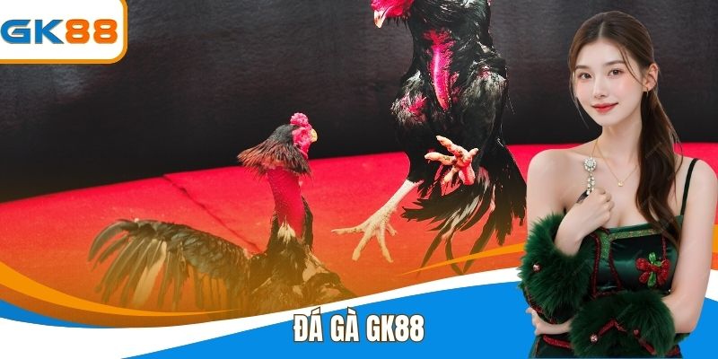 Đá Gà GK88 - Cá Cược Trực Tuyến Kịch Tính Và An Toàn