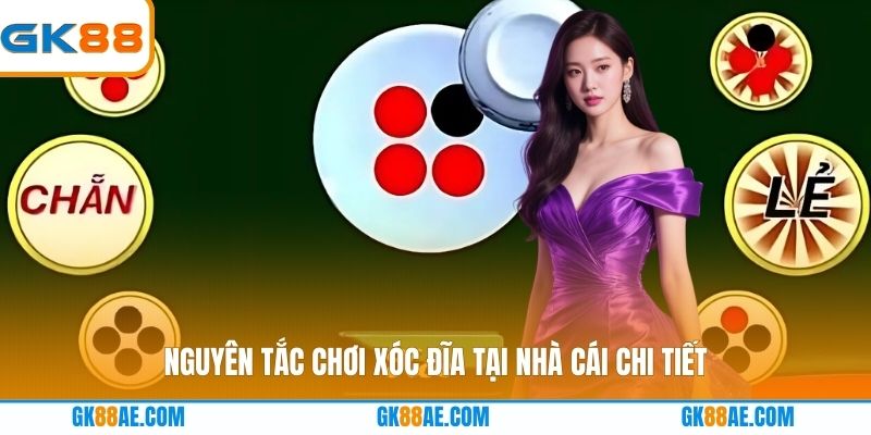 Nguyên tắc chơi xóc đĩa tại nhà cái chi tiết