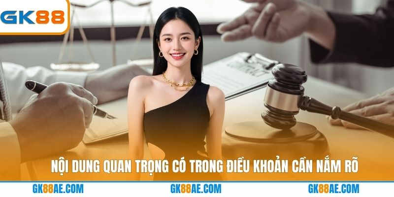 Nội dung quan trọng có trong điều khoản cần nắm rõ